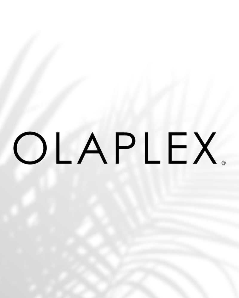 Olaplex logo with a palm leaf shadow design on a white background.